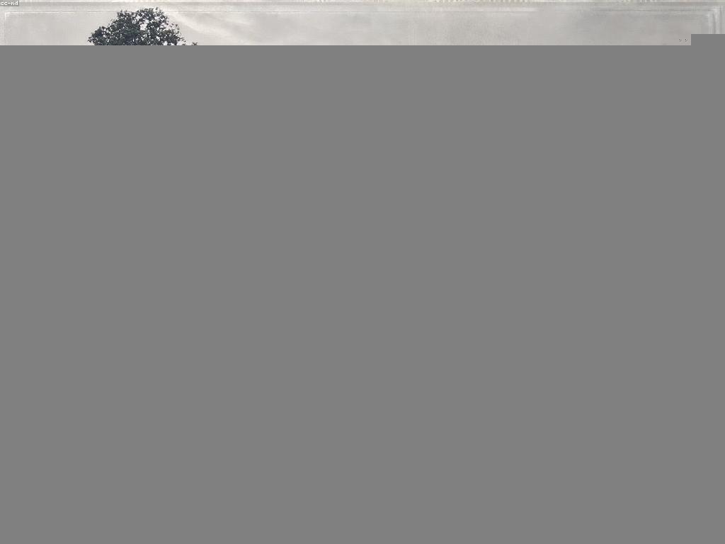 ហ្គេមកំចាត់ចិត្តដែលមានប្រសិទ្ធភាពសម្រាប់ការផ្តល់សុខភាពផ្លូវចិត្ត