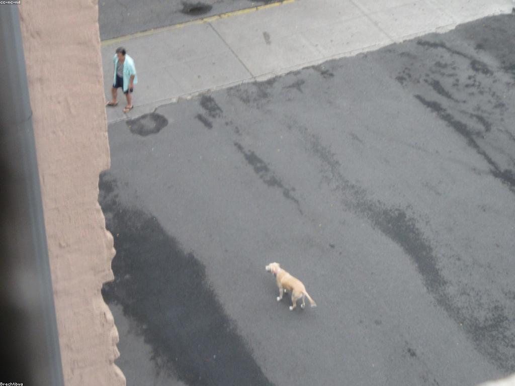 លក្ខណៈសំខាន់ៗក្នុងការវាយតម្លៃហ្គេម